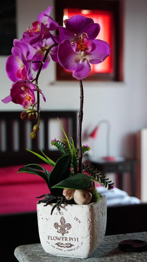 Bed & Breakfast Milu Cuneo Exterior photo