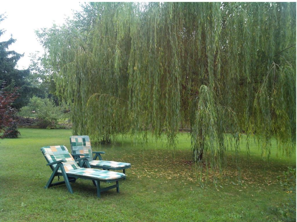 Bed & Breakfast Milu Cuneo Exterior photo